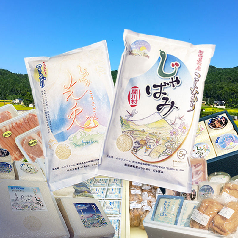 ファームの様子1