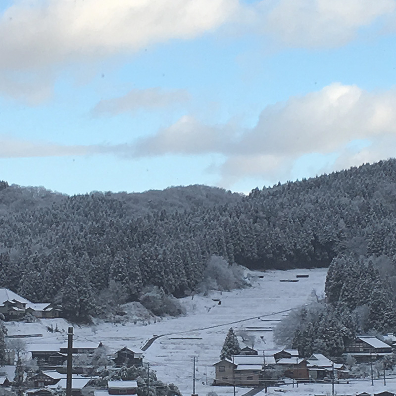 ファームの様子6