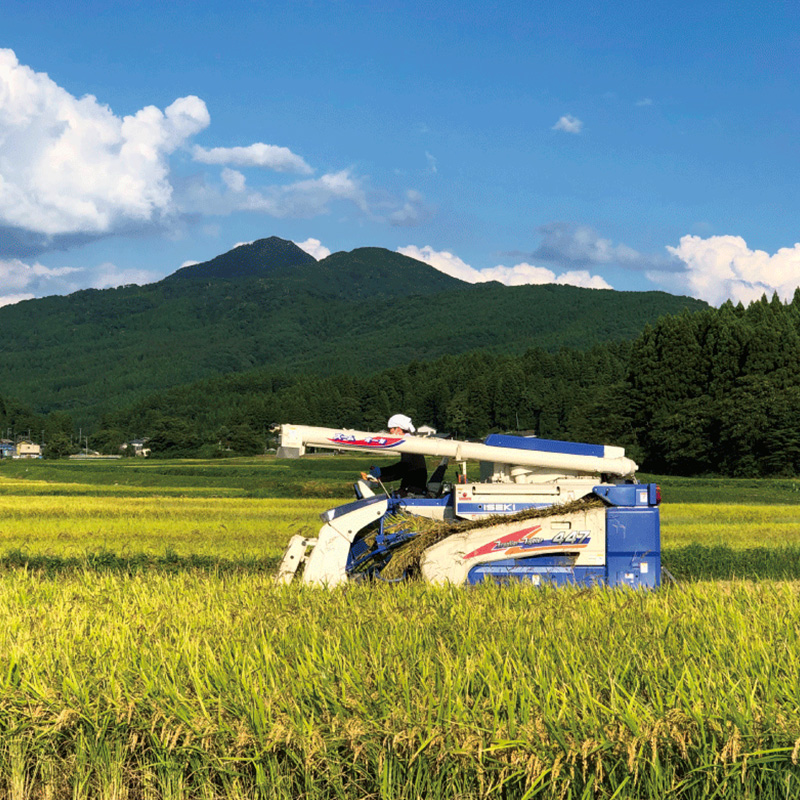 ファームの様子3