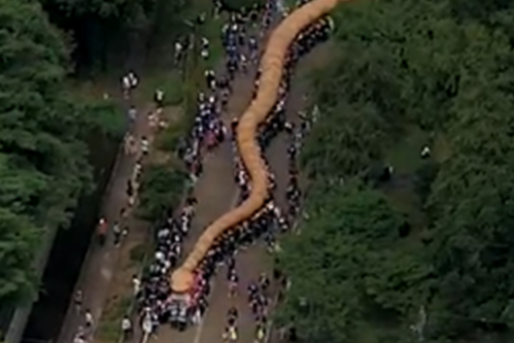 大したもん蛇まつり2